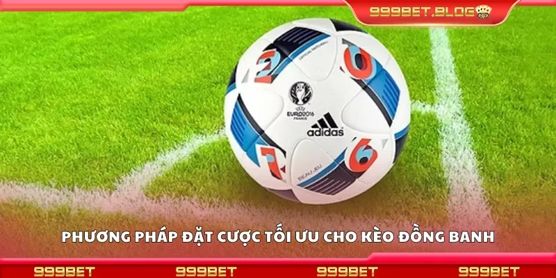 Các chiến lược cá cược hiệu quả với kèo đồng banh