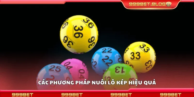 Một số phương pháp nuôi lô kép hiệu quả