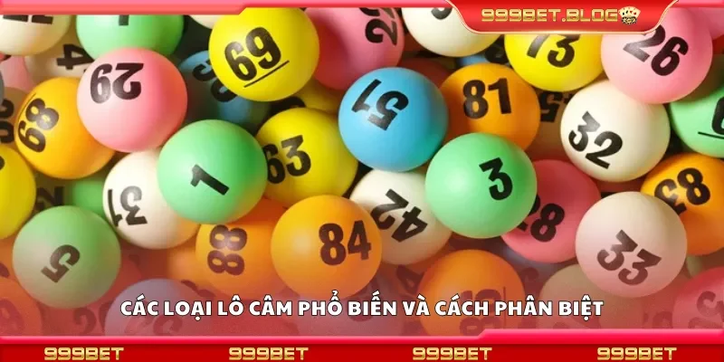 Một số loại lô câm phổ biến và cách phân biệt